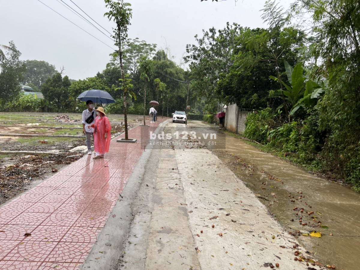 Cần bán đất Full thổ cư Thanh Hóa , Diện tích từ 150m2 , giá chỉ từ 270 triệu/ 1 lô.
