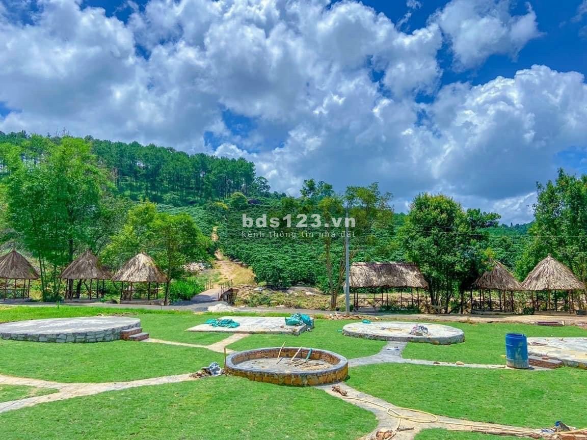 Đất khu dã ngoại Suối Lũng Chuối - B'Lá 985 triệu/sào. Thuê lại với giá cao 50tr/năm. LH: ngay