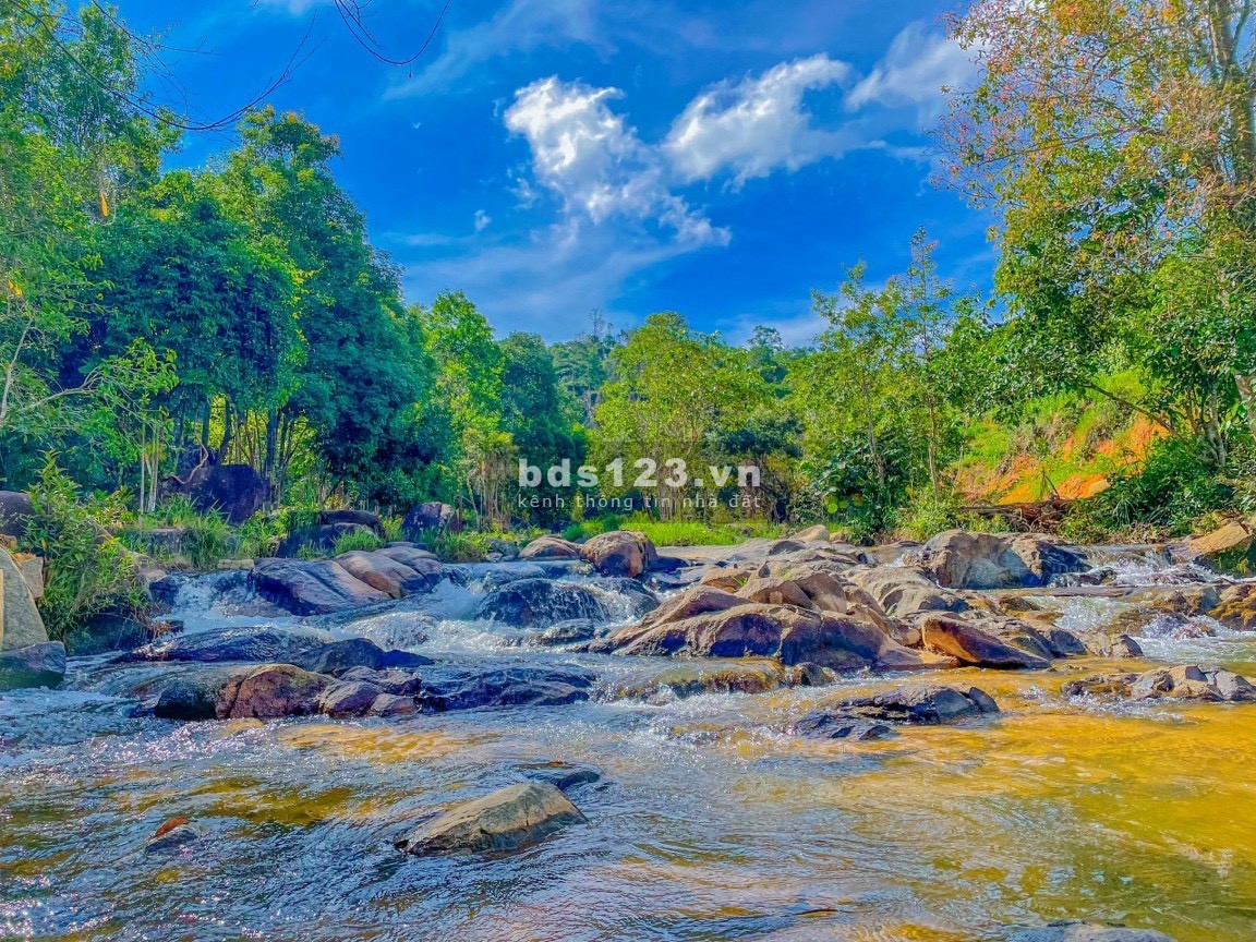 Đất khu dã ngoại Suối Lũng Chuối - B'Lá 985 triệu/sào. Thuê lại với giá cao 50tr/năm. LH: ngay