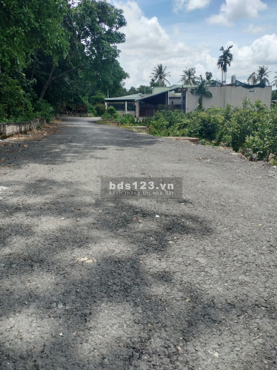 Bán Đất 1570m Gần Sông SG An Phú Đông Quận 12 Giá 17tr/m