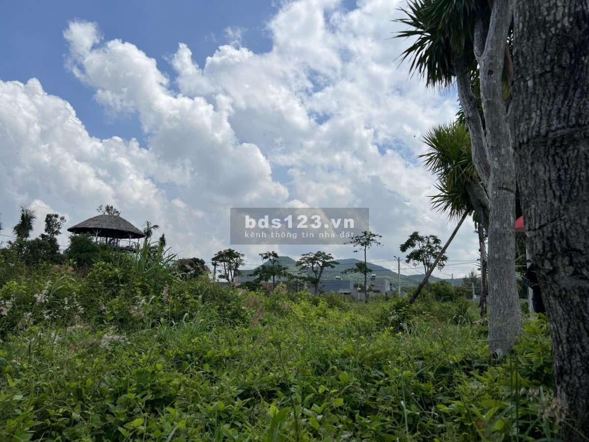 Bán đất mặt tiền gần biển Long HảiSổ hồng rồiCơ sở hạ tầng đầy đủDiện tích : 100m² ( full thổ cư)
