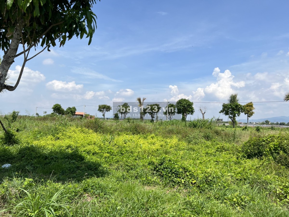 Bán đất mặt tiền gần biển Long HảiSổ hồng rồiCơ sở hạ tầng đầy đủDiện tích : 100m² ( full thổ cư)