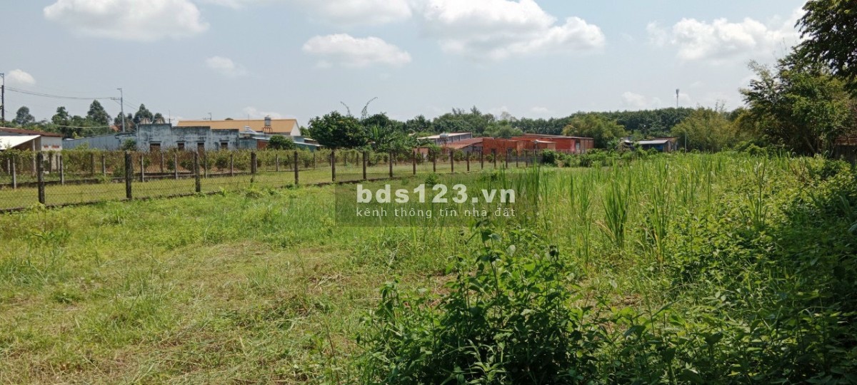 Đất vườn Thổ Cư - Phú Mỹ Hưng - Củ Chi , Giá 3,5tr/m2, VIew đẹp gần khu dân cư.