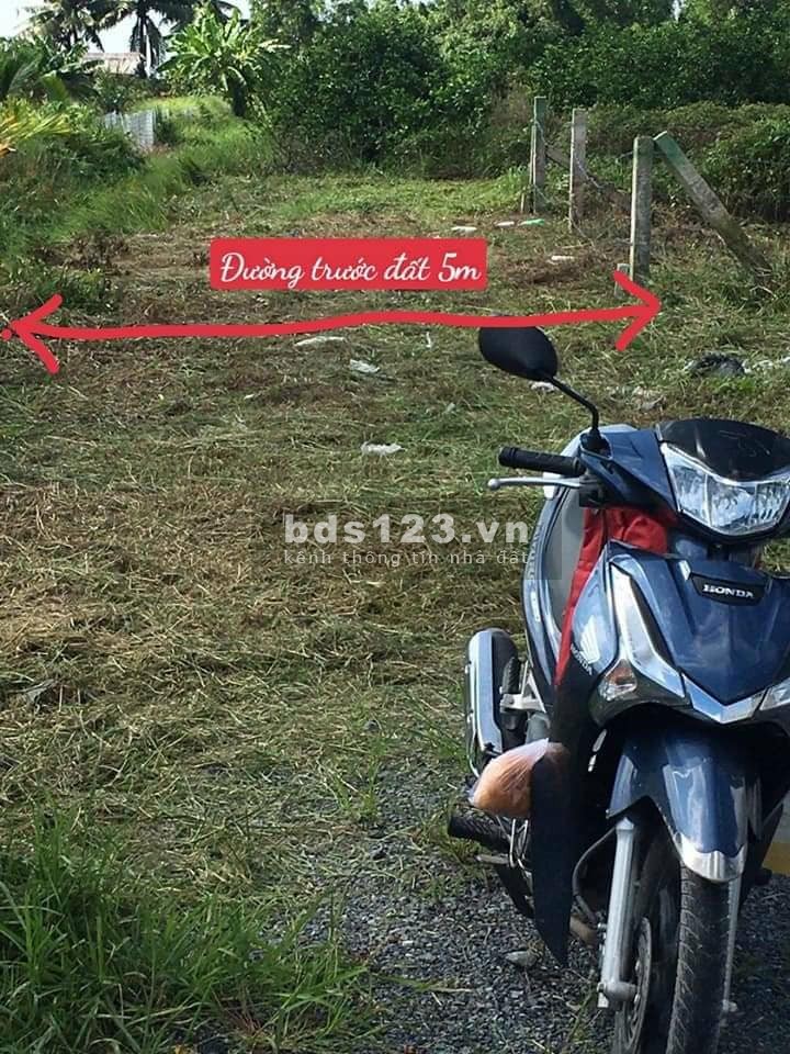 Bán đất xã Tân Thành, huyện Thủ Thừa, tỉnh Long An thích hợp làm nhà vườn, nhà yến