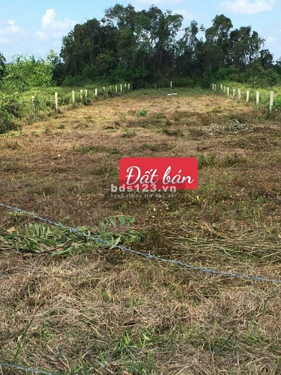 Bán đất xã Tân Thành, huyện Thủ Thừa, tỉnh Long An thích hợp làm nhà vườn, nhà yến