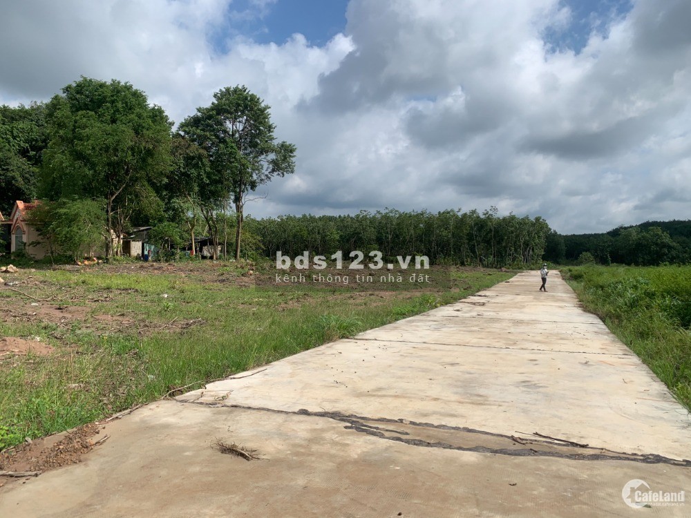 Bán gấp 1000m2 đất ngay QL13 gần KDC đại Nam, với KCN Minh Hưng