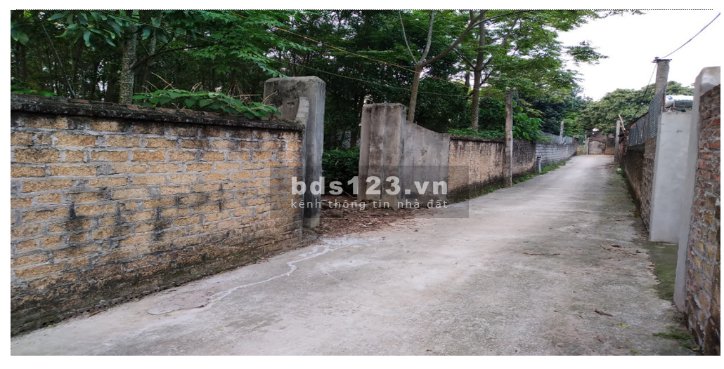 Bán 1161 m2 đất ở Ba Vì Hà Nội giá hơn 2 triệu/m2 đầu tư sinh lời cao