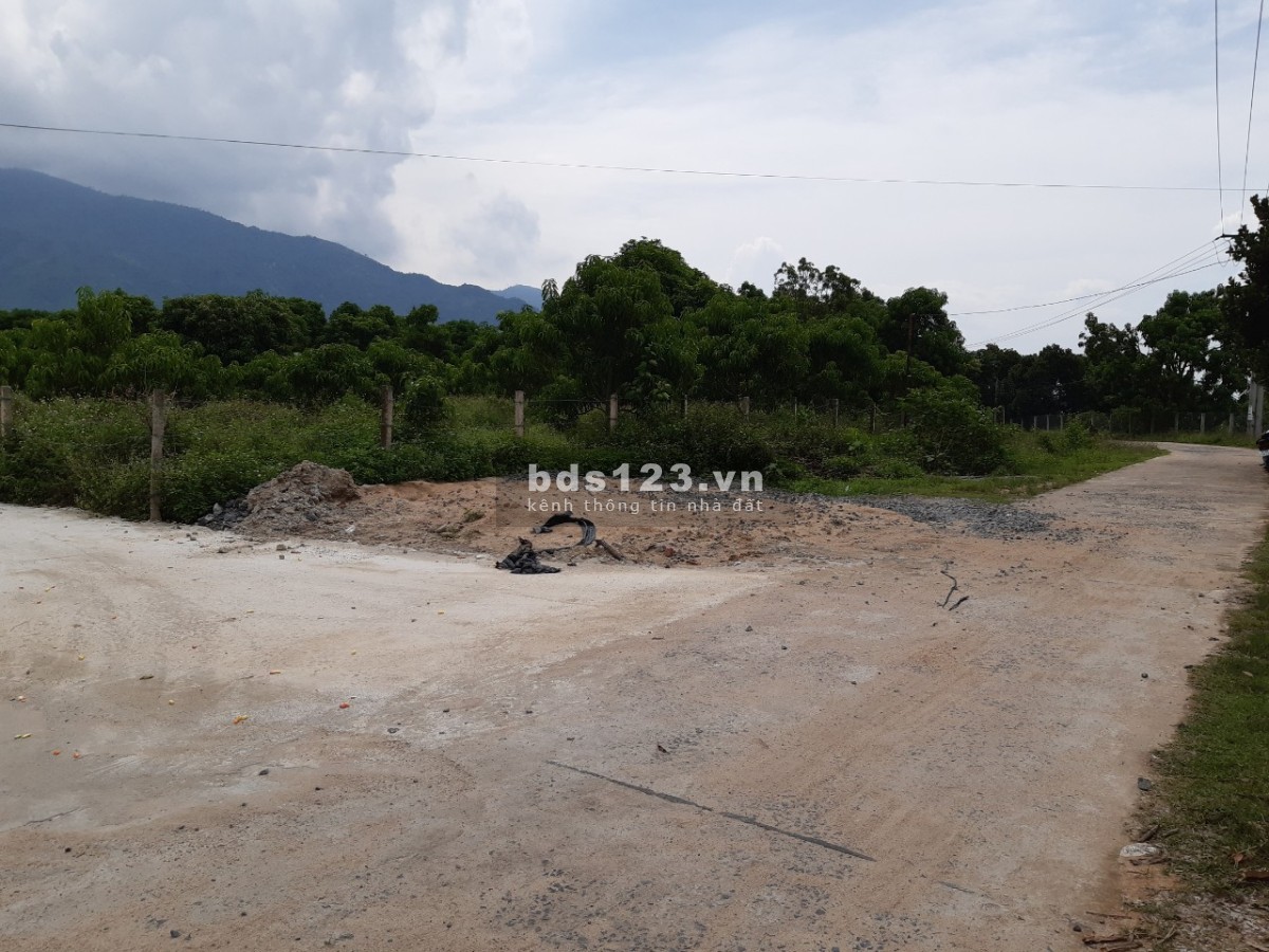 Vườn xoài Suối Cát CAm lâm, cách cao tốc Bắc Nam 500m, gần dự án Vingroup