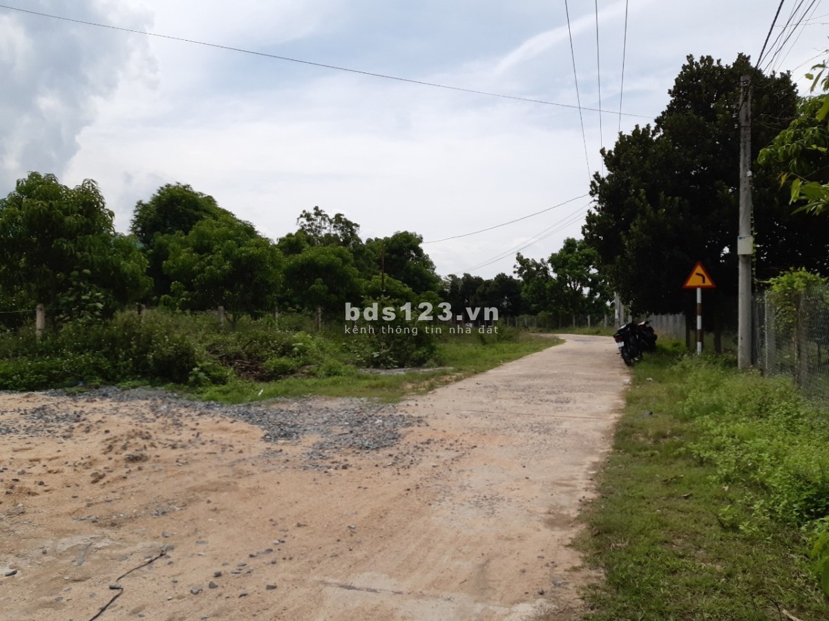 Vườn xoài Suối Cát CAm lâm, cách cao tốc Bắc Nam 500m, gần dự án Vingroup
