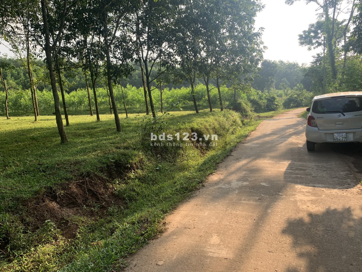 Cần bán gấp gần KCN Bãi Trành, Như Xuân, Thanh Hoá, DT 9.000m² LH 0917271368