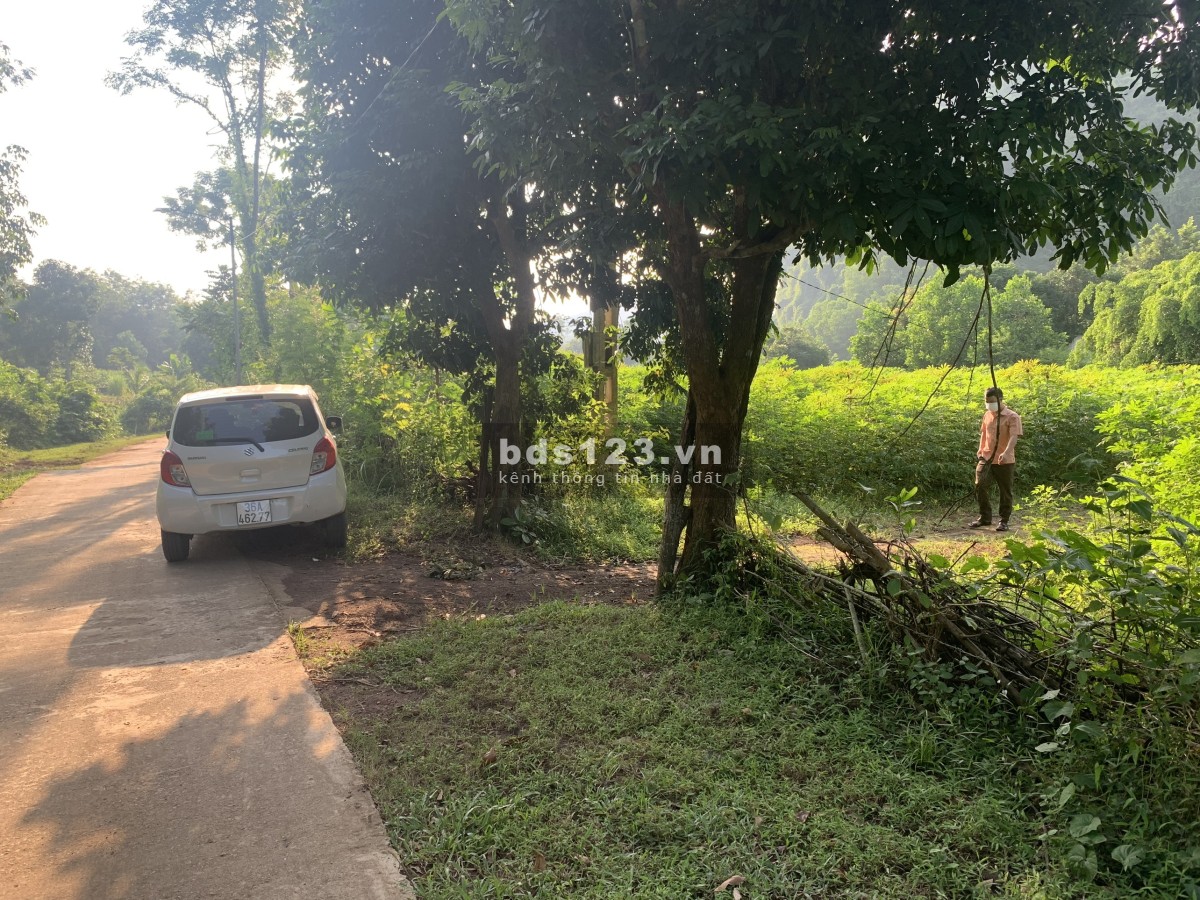 Cần bán gấp gần KCN Bãi Trành, Như Xuân, Thanh Hoá, DT 9.000m² LH 0917271368