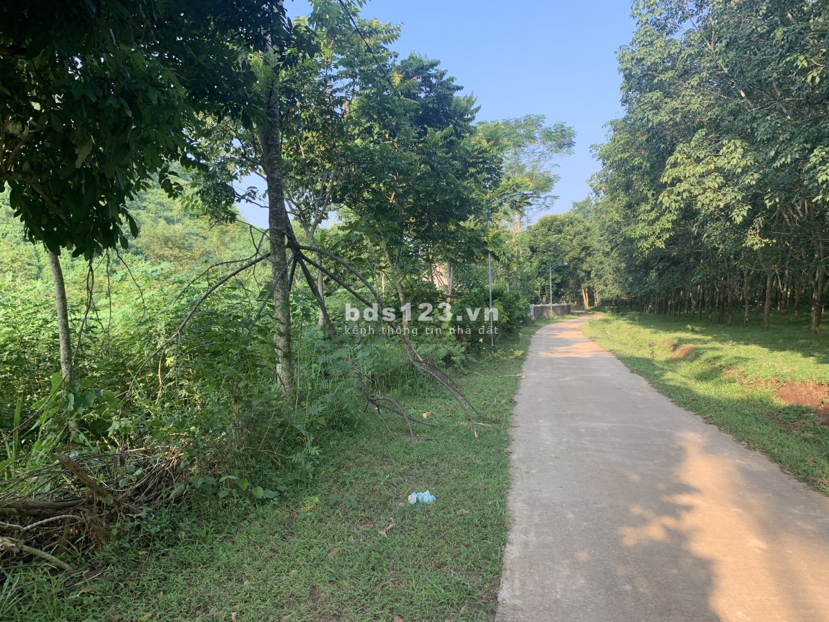 Cần bán gấp gần KCN Bãi Trành, Như Xuân, Thanh Hoá, DT 9.000m² LH 0917271368