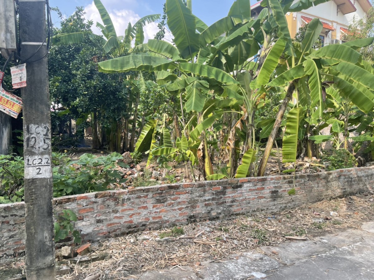 Cần bán 365m2 đất tại thôn Võng La, Xã Võng La, Đông Anh, Hà Nội. LH: 0945172489