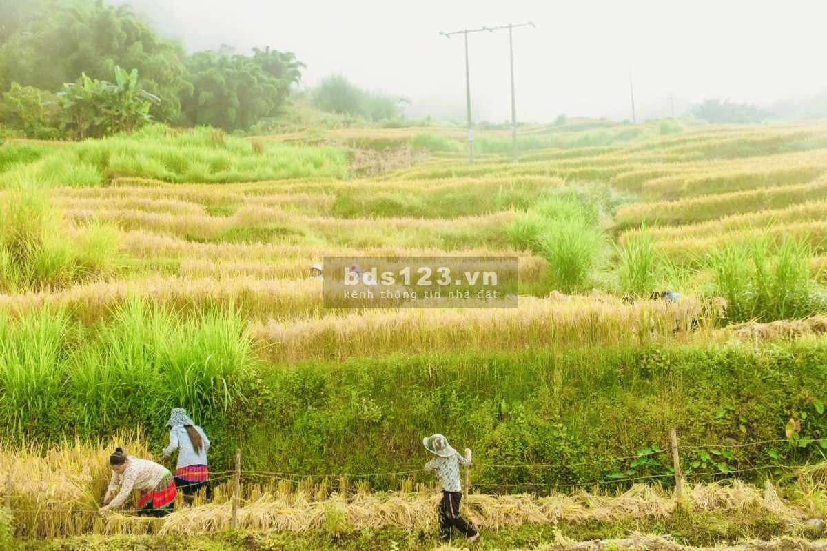 Bán đất nền Sa Pa có sổ, có thổ cư view hồ siêu đẹp liên hệ 0967943899