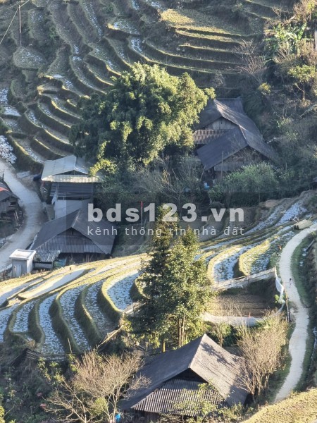 Bán mảnh 1600m2.MT60m, phù hợp làm homestay, biên độ lợi nhuận cao