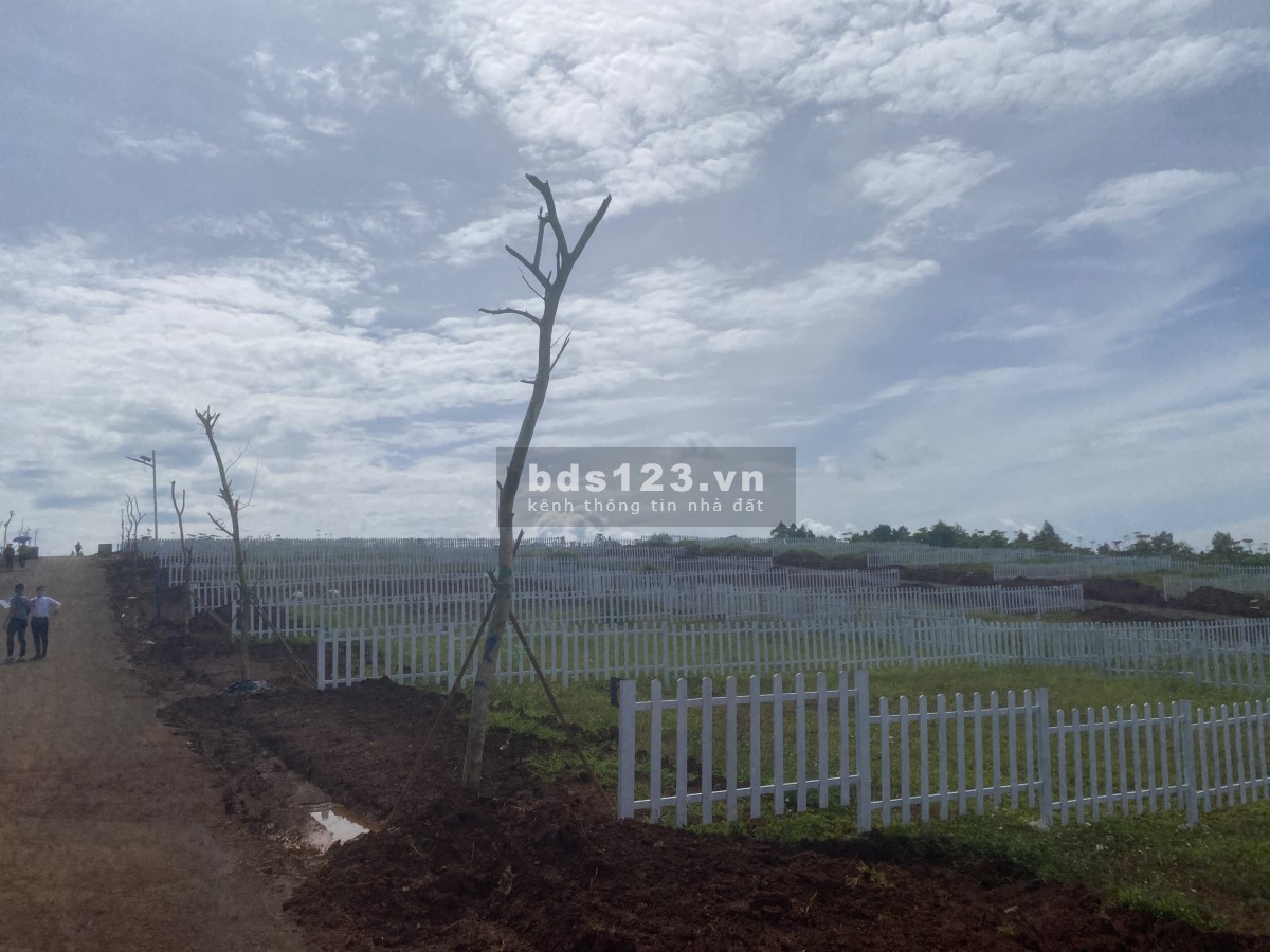 Bán đất tại phường Lộc Phát thành phố Bảo Lộc liên hệ 0853320416
