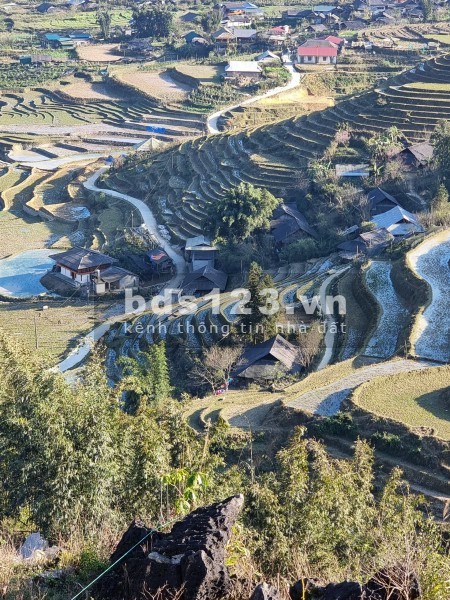 Bán mảnh 1600m2.MT60m, phù hợp làm homestay, biên độ lợi nhuận cao