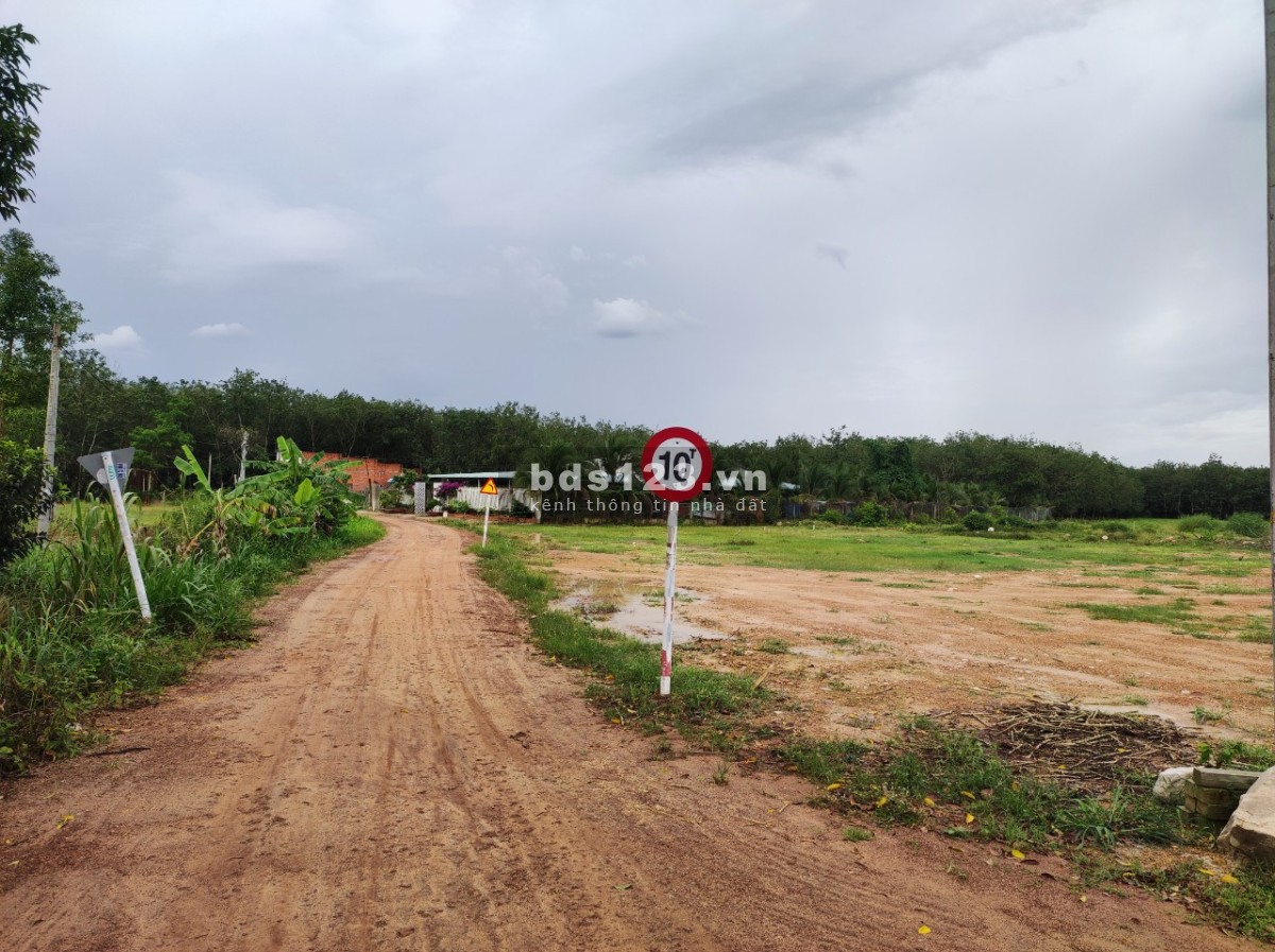 Bán đất thổ cư giá rẻ sổ sẵn chông chứng liền, vị trí đẹp