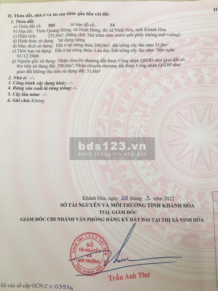 Quang Đông, xã Ninh Đông, TX Ninh Hoà giá đầu tư sinh lời