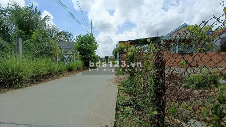 Quang Đông, xã Ninh Đông, TX Ninh Hoà giá đầu tư sinh lời