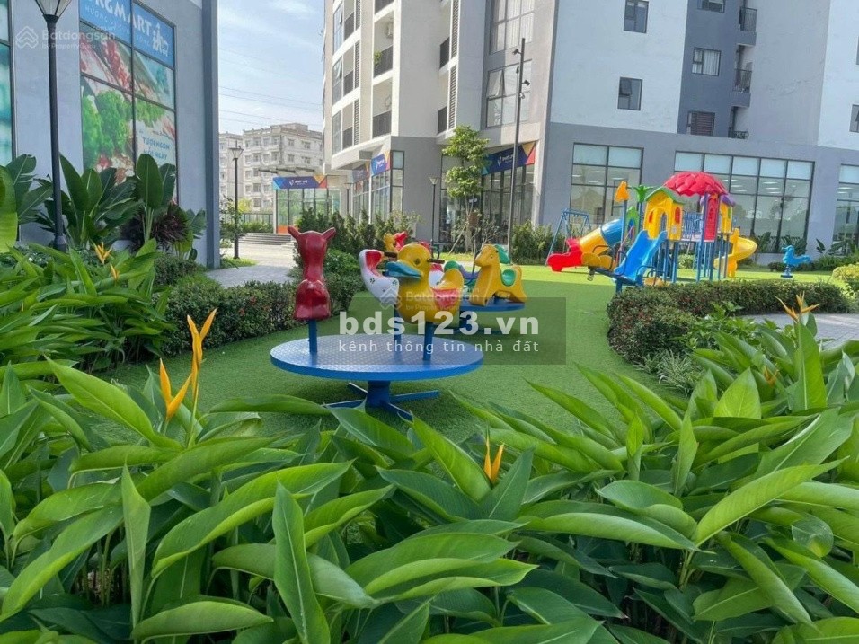 Căn hộ chung cư cao cấp đầy đủ tiện nghi sống ngay gần trung tâm thành phố