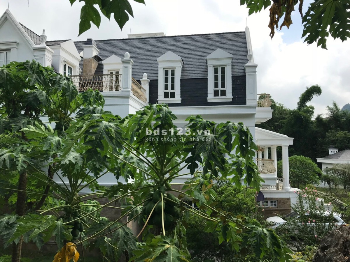 Cần bán biệt thự gần 7600m2 siêu đẹp tại Xã Lâm Sơn, Huyện Lương Sơn, tỉnh Hòa Bình