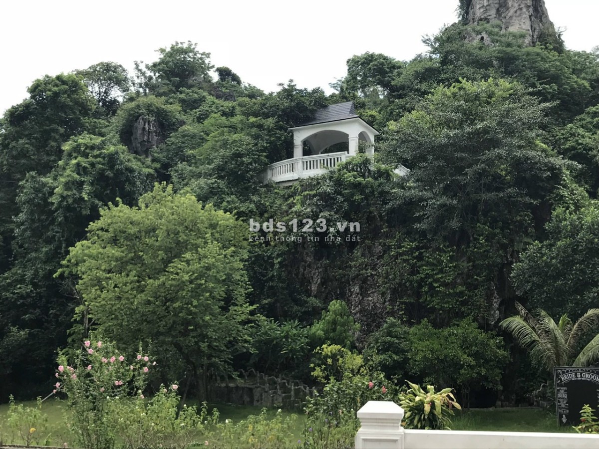 Cần bán biệt thự gần 7600m2 siêu đẹp tại Xã Lâm Sơn, Huyện Lương Sơn, tỉnh Hòa Bình