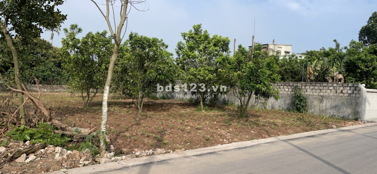 Chính chủ bán đất Hà Nam liên hệ 0329888305 giá chỉ từ 6.1 triệu/m2