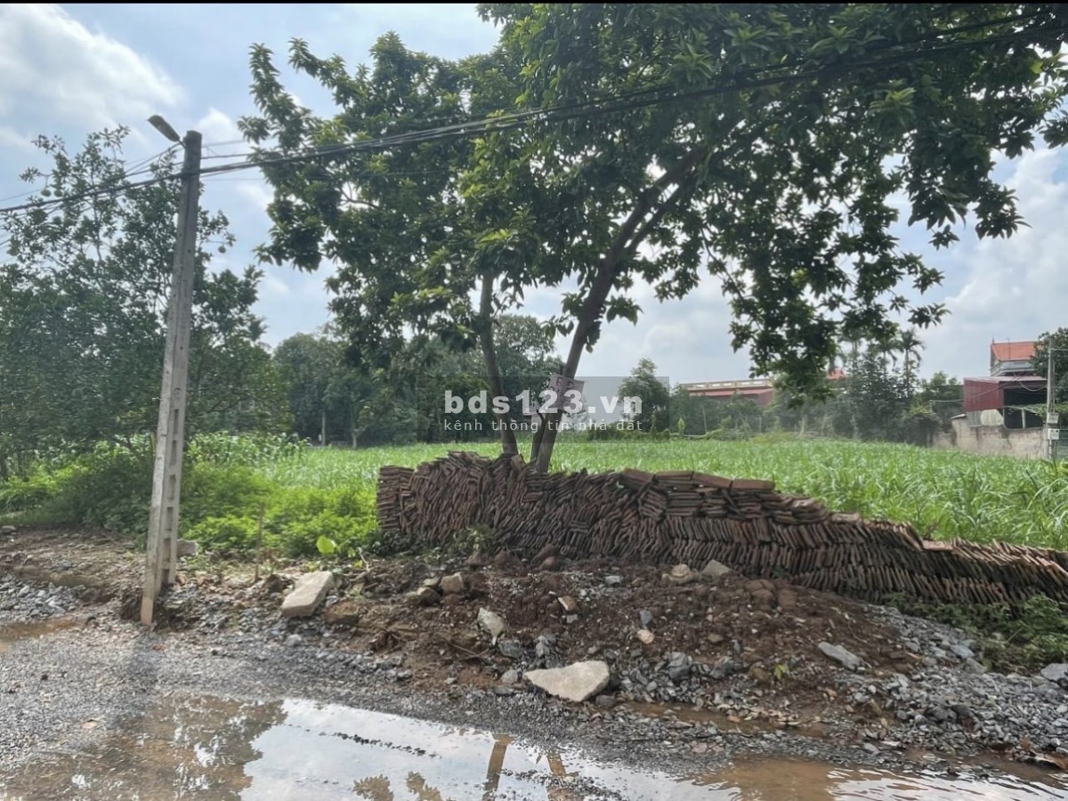 Chính chủ bán đất Hà Nam liên hệ 0329888305 giá chỉ từ 6.1 triệu/m2