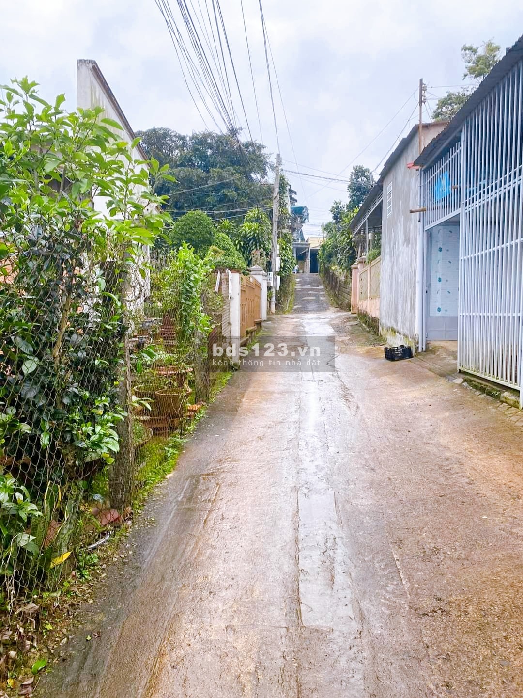 Bán gấp lô 100m2 có thổ 480 triệu phường B'Lao sổ sẵn