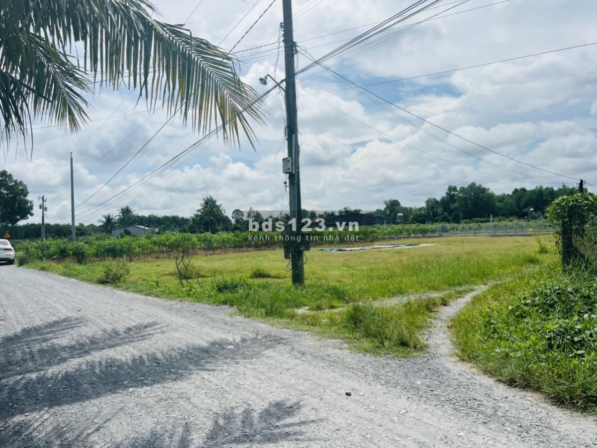 Bán đất Cẩm Giang Gò Dầu Tây Ninh, liên hệ 0775945430
