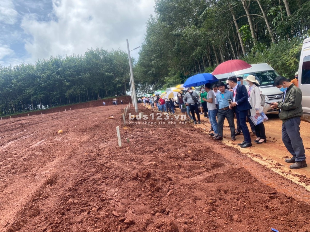ĐẤT NỀN THỔ VƯỜN làm khu nghỉ dưỡng đón đầu xu hướng Đời Sống Xanh.