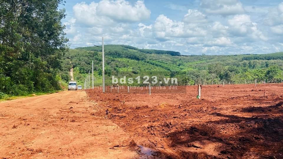 ĐẤT NỀN THỔ VƯỜN làm khu nghỉ dưỡng đón đầu xu hướng Đời Sống Xanh.