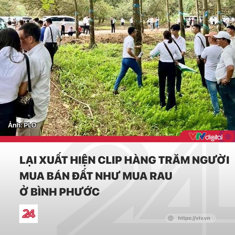 Hàng trăm người tranh nhau mua bán đất Bình Phước - nguồn VTV