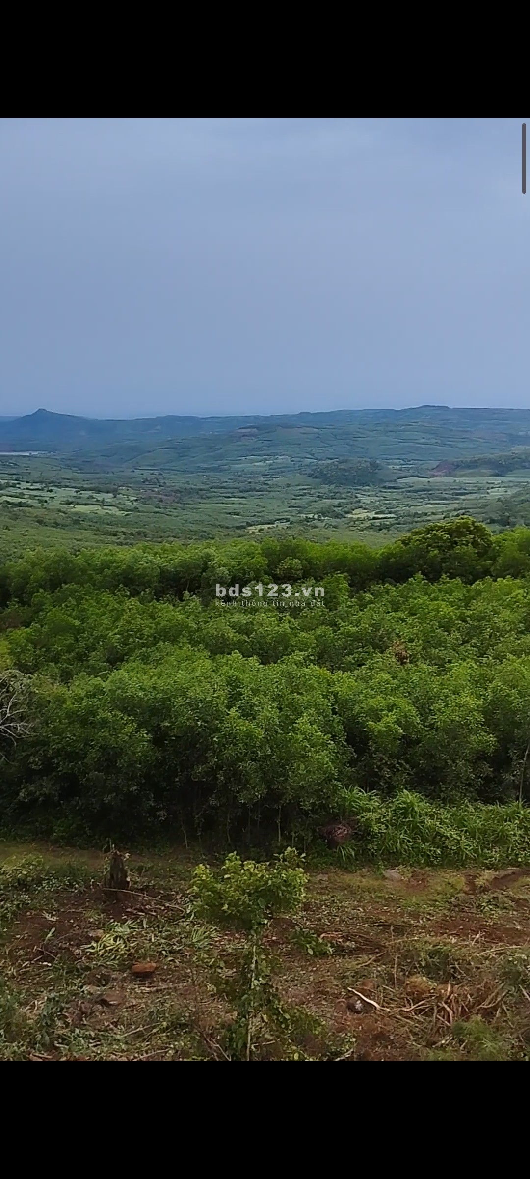 Đất cao nguyên Vân Hoà cần bán view cực đẹp giá thương lượng