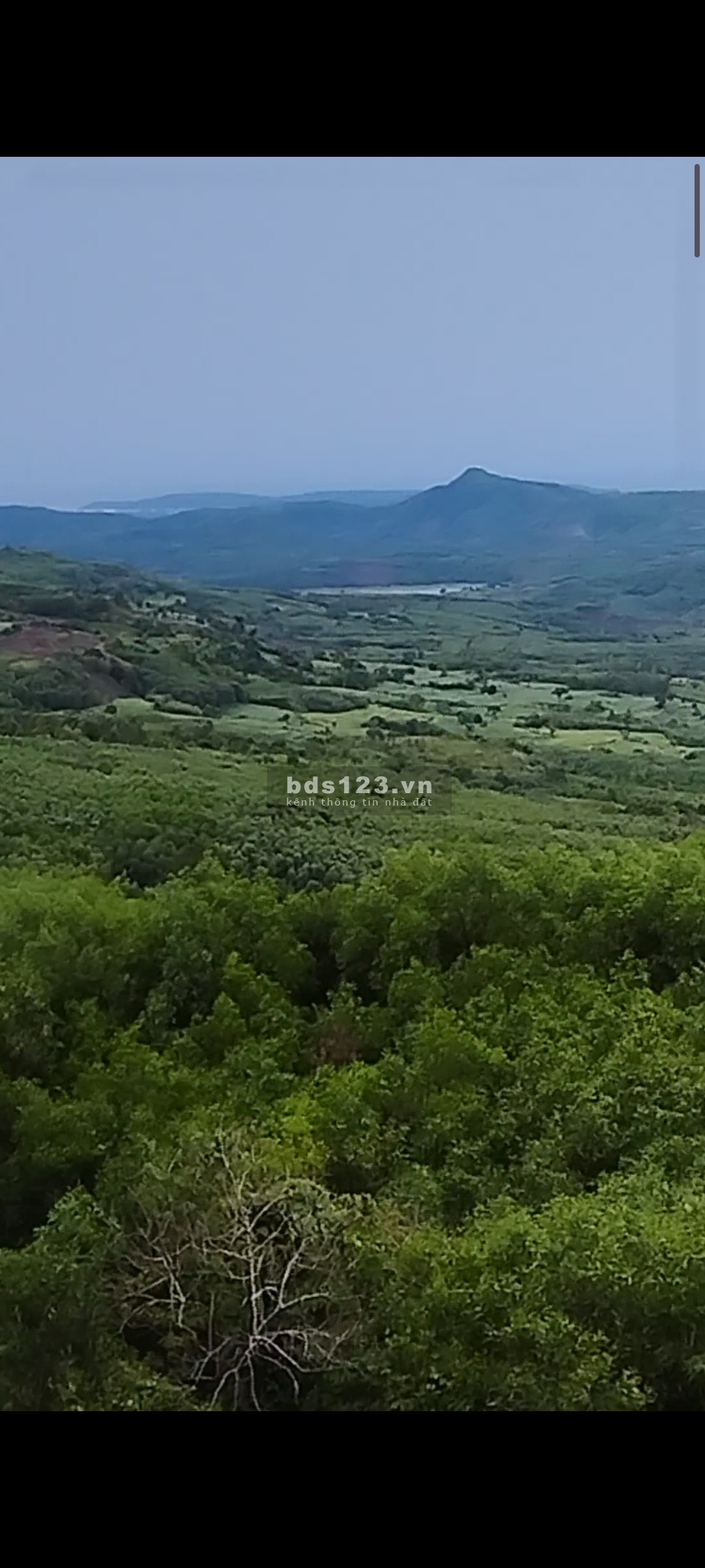 Đất cao nguyên Vân Hoà cần bán view cực đẹp giá thương lượng