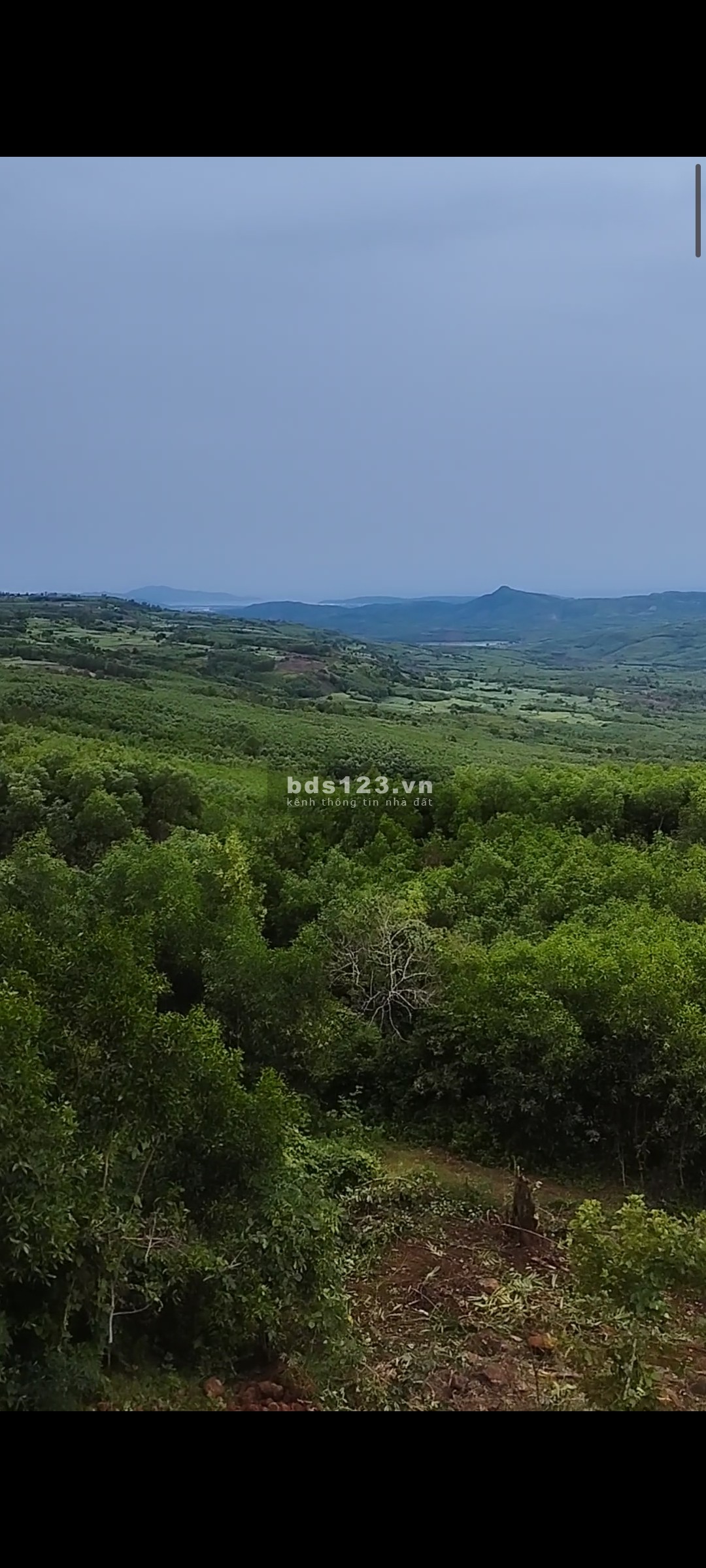 Đất cao nguyên Vân Hoà cần bán view cực đẹp giá thương lượng