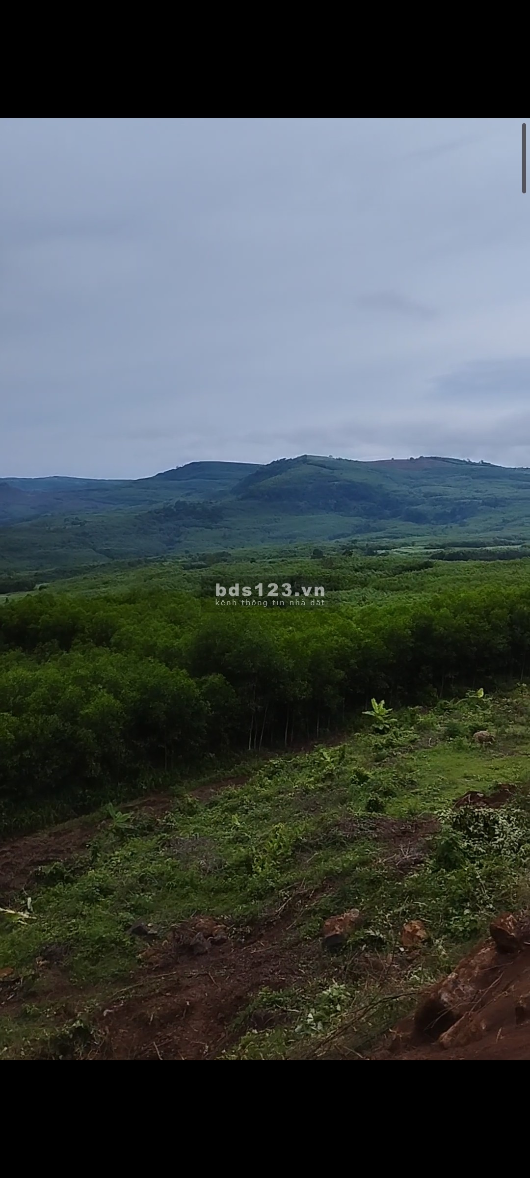 Đất cao nguyên Vân Hoà cần bán view cực đẹp giá thương lượng