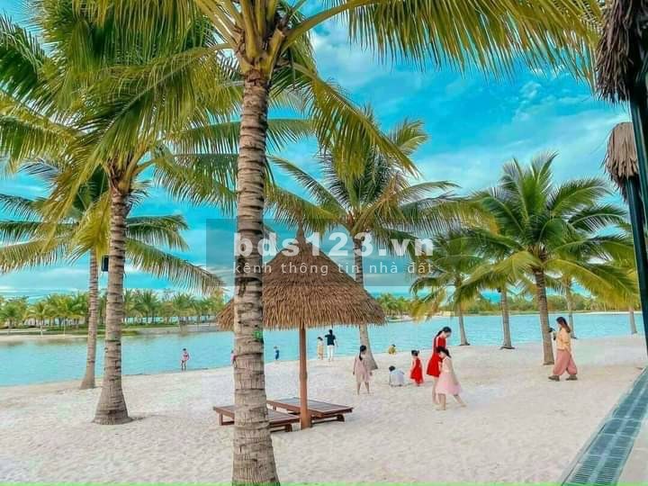 Tìm bạn nữ ở ghép CC Vinhome Grand Park