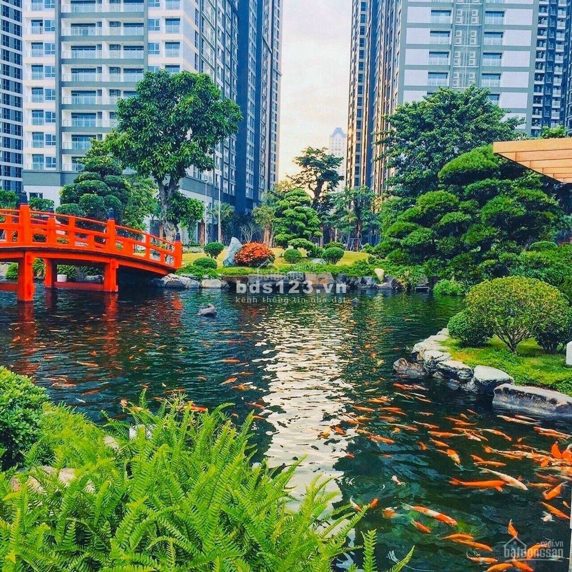 Tìm bạn nữ ở ghép CC Vinhome Grand Park