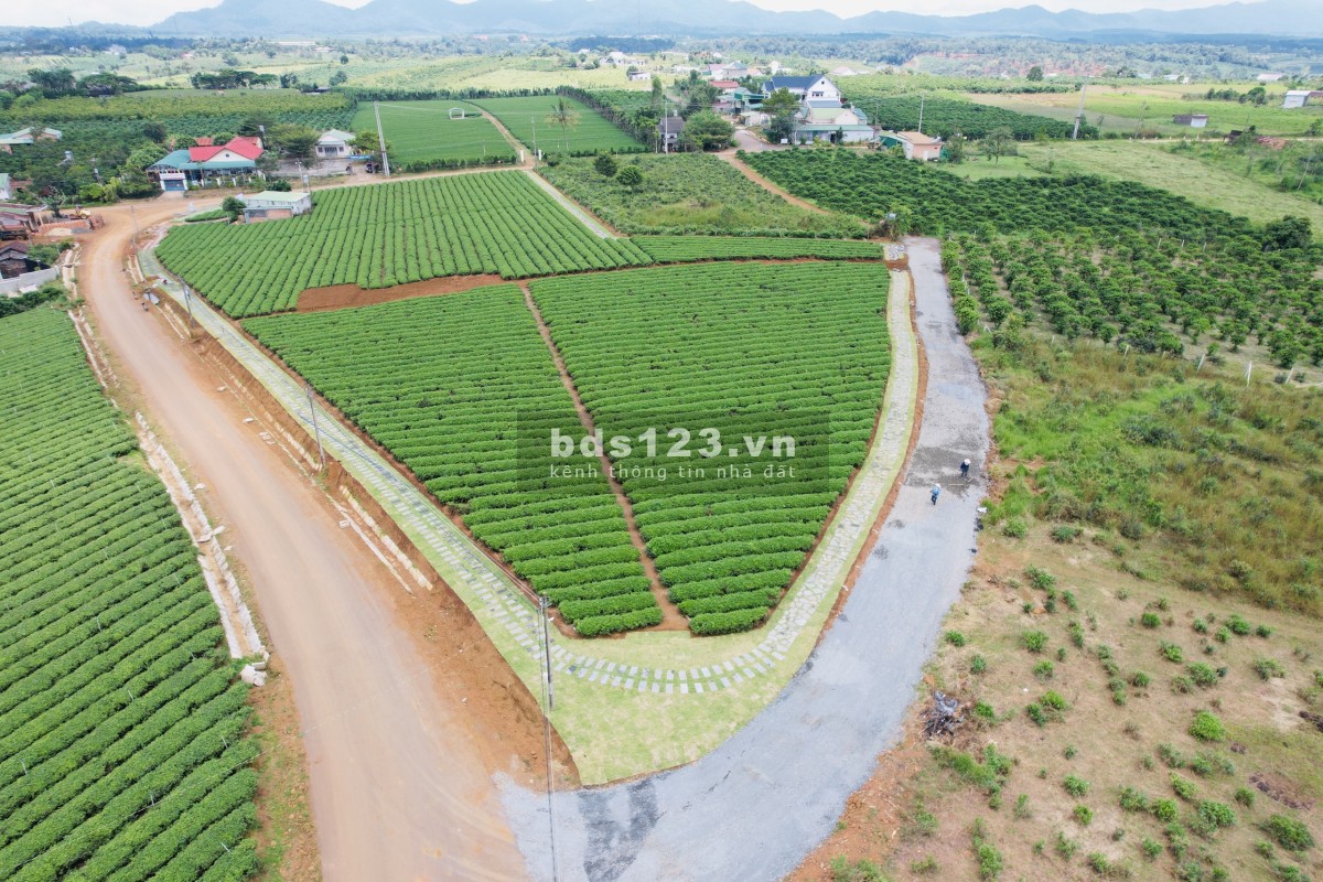 Chính chủ còn vài lô đất gần nút giao Cao Tốc nằm trên 3 mặt tiền đường nhà nước