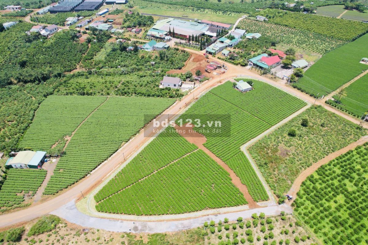 Chính chủ còn vài lô đất gần nút giao Cao Tốc nằm trên 3 mặt tiền đường nhà nước