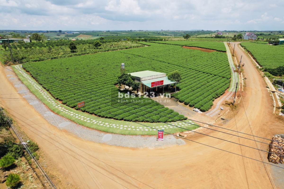 Chính chủ còn vài lô đất gần nút giao Cao Tốc nằm trên 3 mặt tiền đường nhà nước