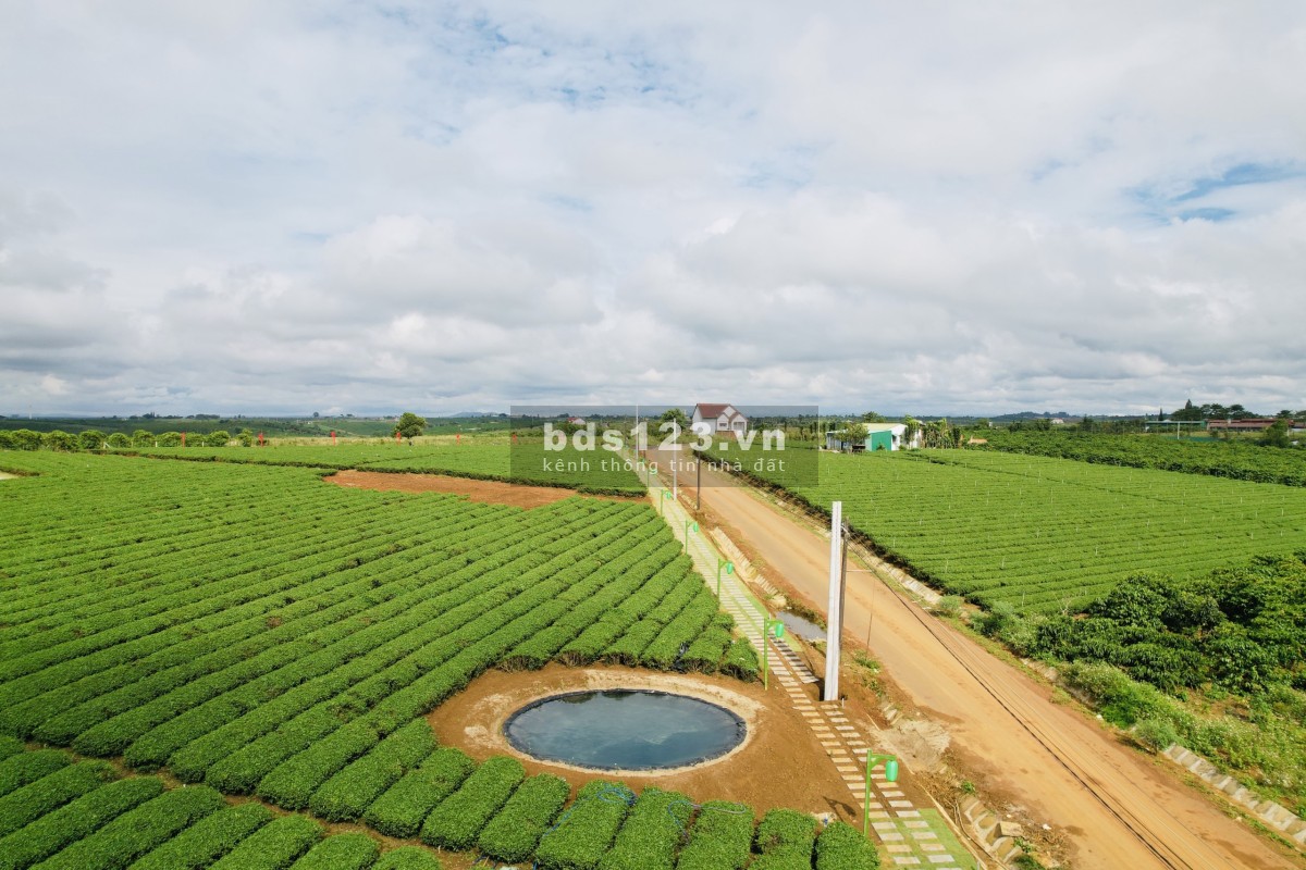 Chính chủ còn vài lô đất gần nút giao Cao Tốc nằm trên 3 mặt tiền đường nhà nước