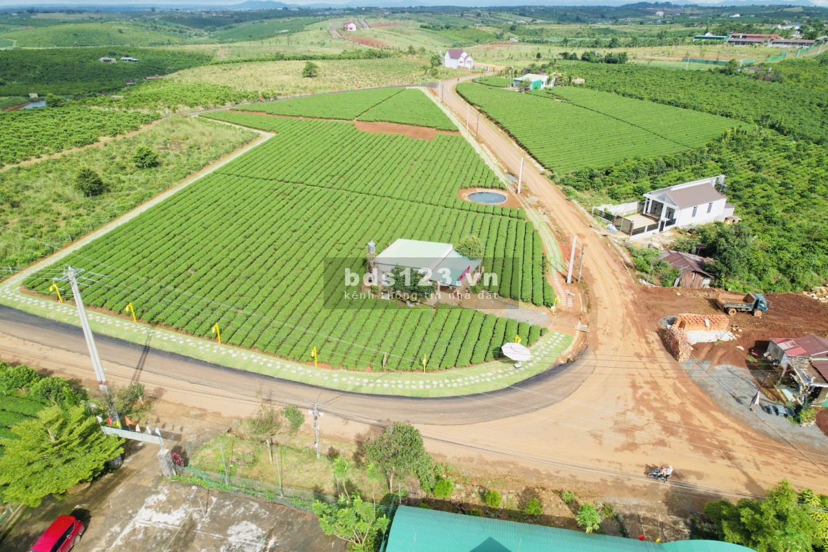 Chính chủ còn vài lô đất gần nút giao Cao Tốc nằm trên 3 mặt tiền đường nhà nước