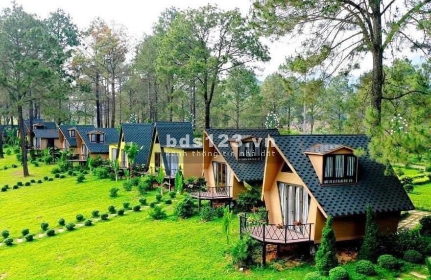 Chính Chủ Bán Lô 40 ngàn mét vuông Hòa Bắc Hòa Vang Đà Nẵng có 400m2 đất ở