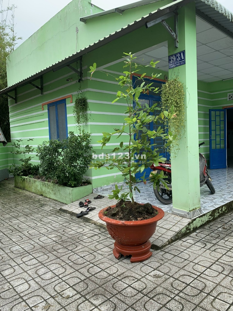 Chính chủ bán nhà vườn 300m² đất xã Trung Lập Thượng, huyện Củ Chi