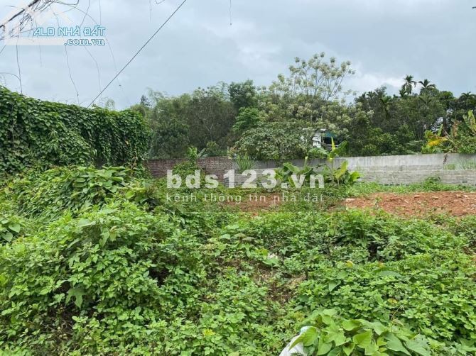 Bán đất mặt đường Hòa Bình (đoạn Lý Thái Tổ -ĐT 43 giá tốt