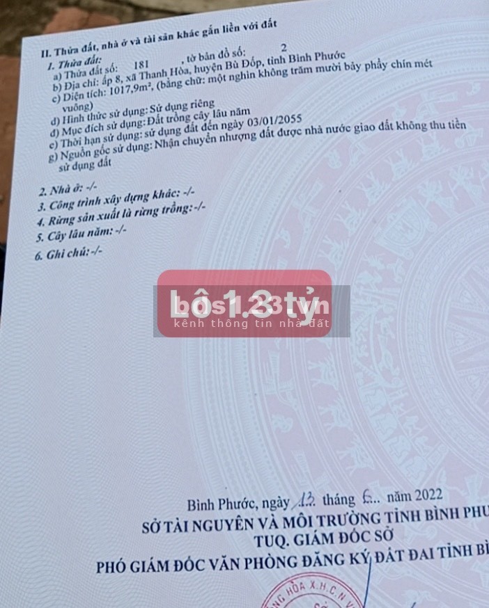 Chính chủ bán 2 lô đất xã Thanh Hòa, huyện Bù Đốp, tỉnh Bình Phước