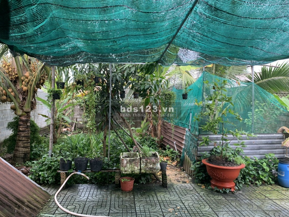 Chính chủ bán nhà vườn 300m² đất xã Trung Lập Thượng, huyện Củ Chi